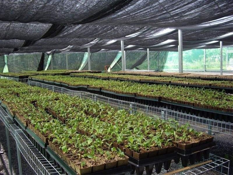 90-96 King Road Murray Upper, Tully QLD 4854