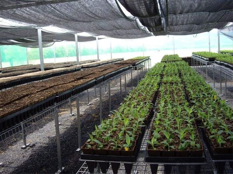 90-96 King Road Murray Upper, Tully QLD 4854