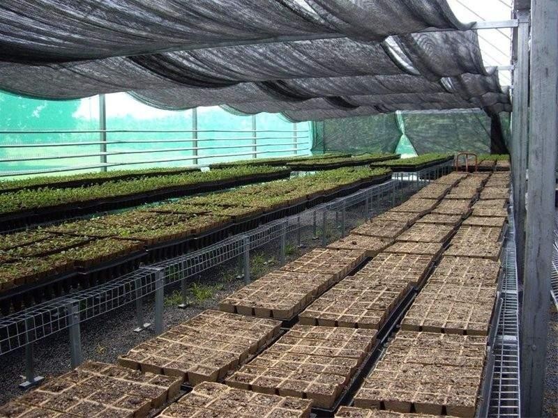 90-96 King Road Murray Upper, Tully QLD 4854