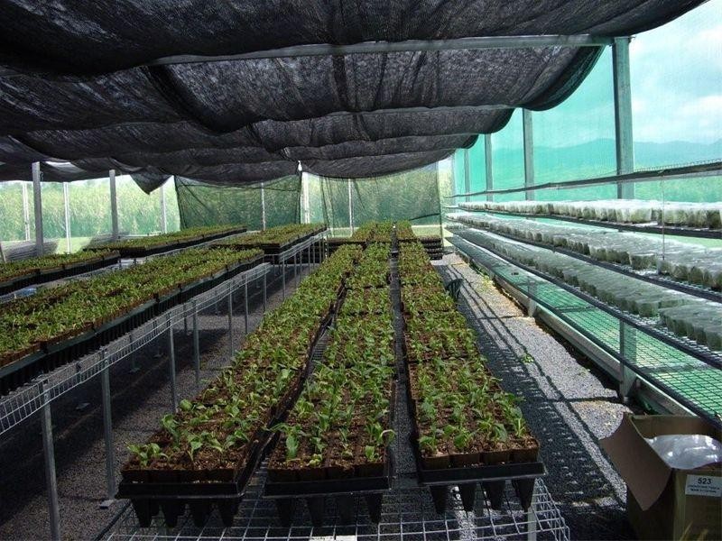 90-96 King Road Murray Upper, Tully QLD 4854