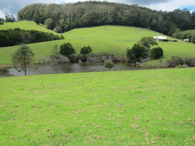 1802 Eastern Dorrigo Way, Ulong NSW 2450