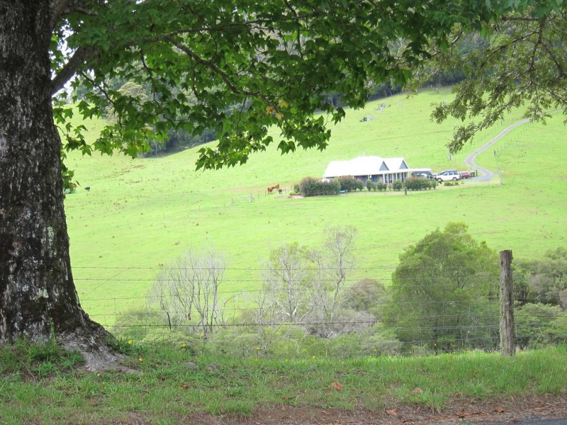 1802 Eastern Dorrigo Way, Ulong NSW 2450