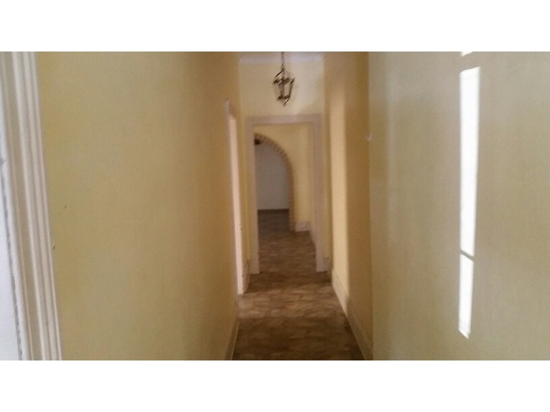 14 Phillips Street, Alexandria NSW 2015