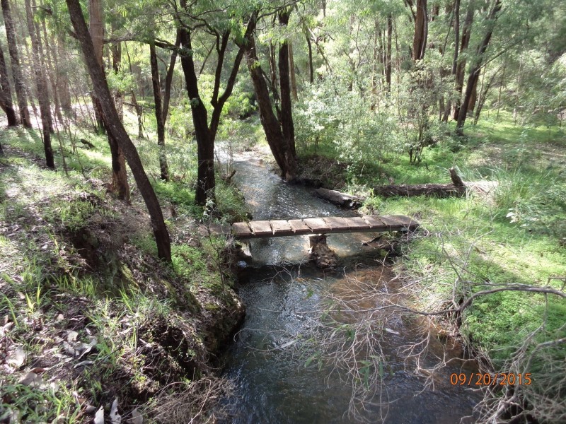 387 Wellington Mill Road, Wellington Mill WA 6236