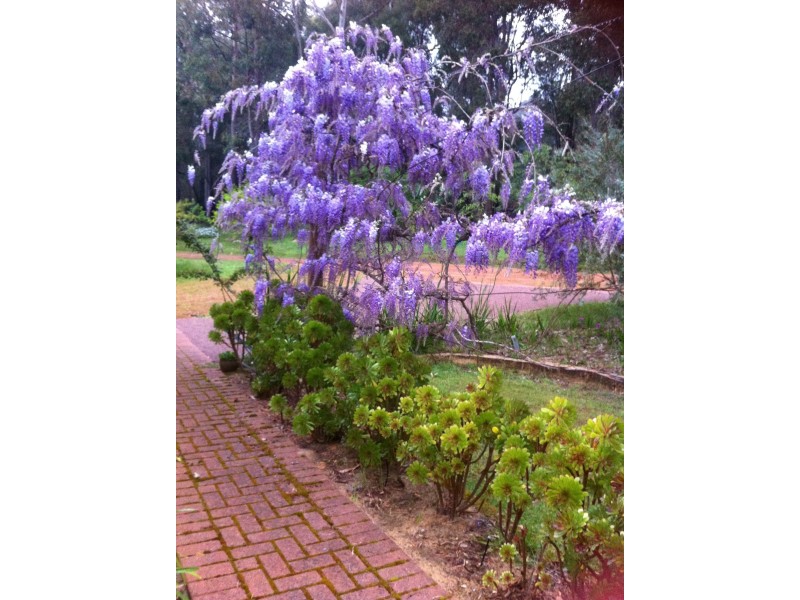 387 Wellington Mill Road, Wellington Mill WA 6236