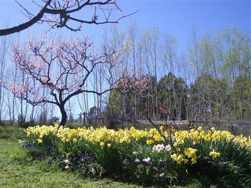 110 Brays Road, Sheffield TAS 7306