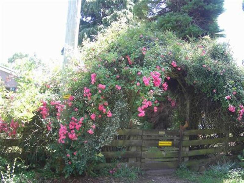 110 Brays Road, Sheffield TAS 7306