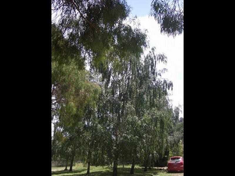 110 Brays Road, Sheffield TAS 7306