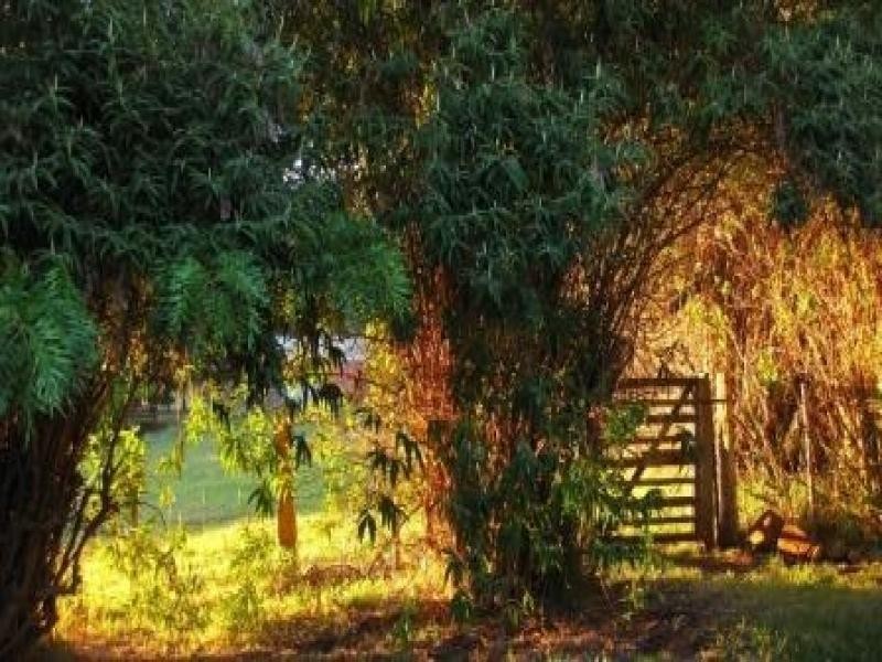 110 Brays Road, Sheffield TAS 7306