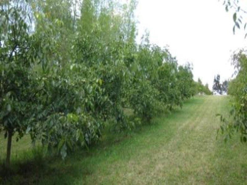 110 Brays Road, Sheffield TAS 7306