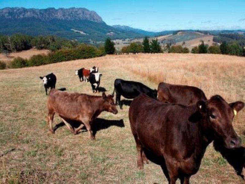 110 Brays Road, Sheffield TAS 7306