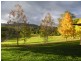 Utungun NSW 2447