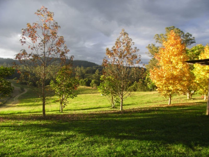 Utungun NSW 2447