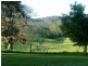Utungun NSW 2447