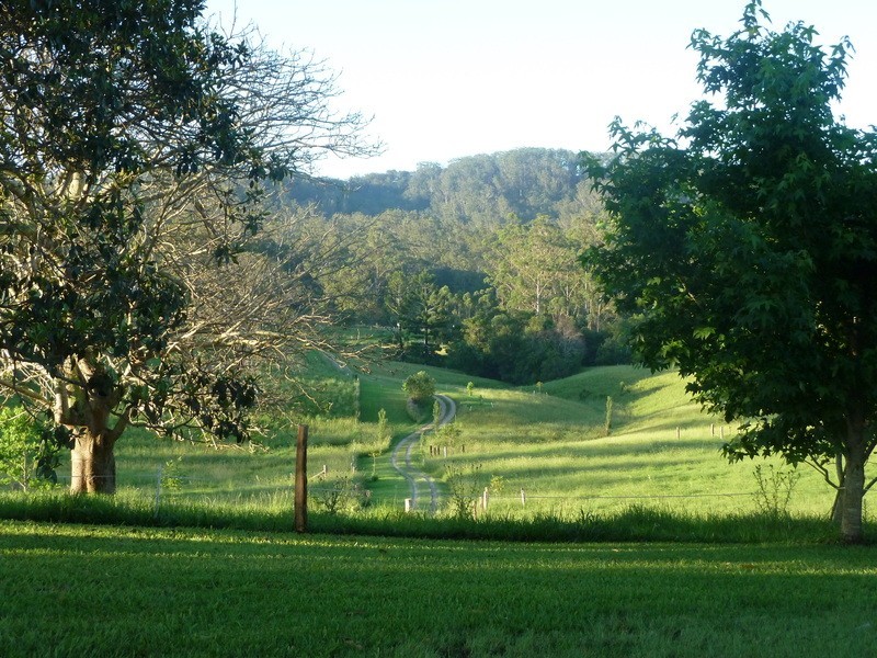 Utungun NSW 2447