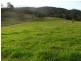Utungun NSW 2447