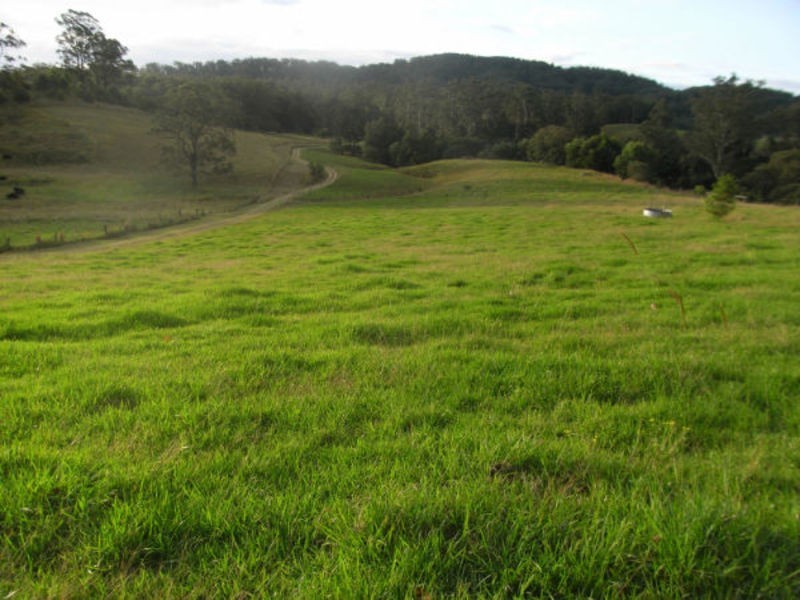 Utungun NSW 2447
