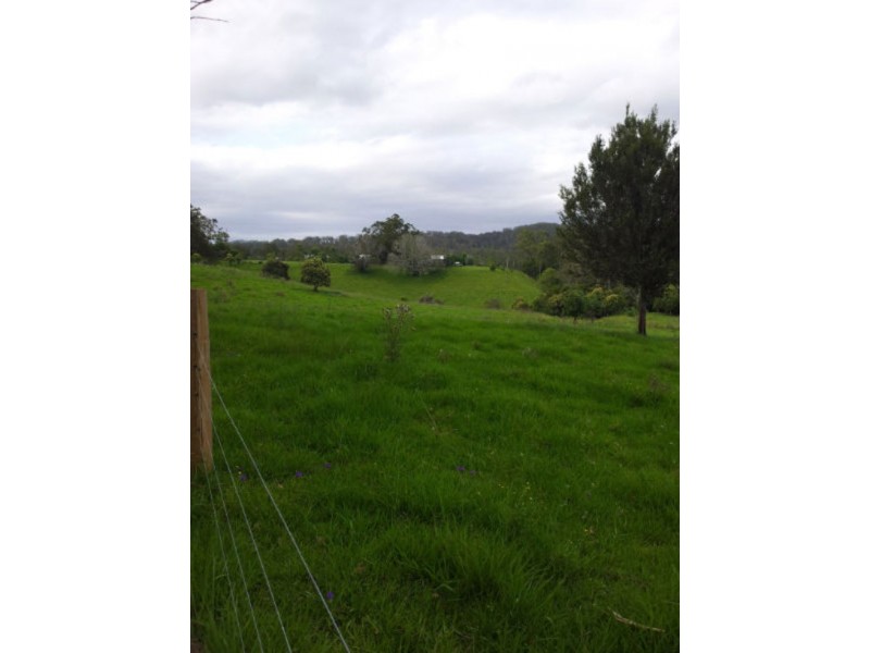 Utungun NSW 2447