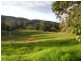 Utungun NSW 2447