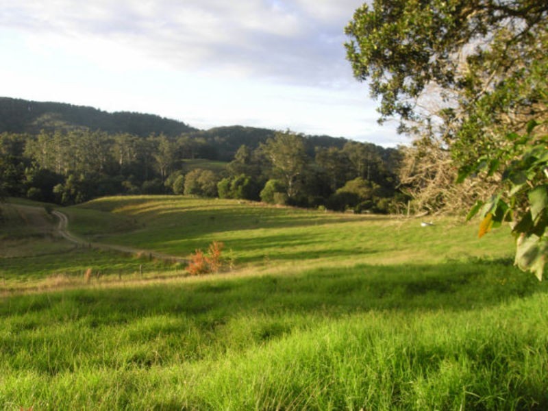 Utungun NSW 2447