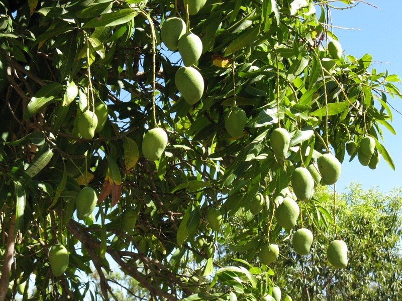 30 Queen Street, Chillagoe QLD 4871