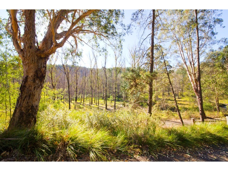 49 Gorricks Run, St Albans NSW 2775