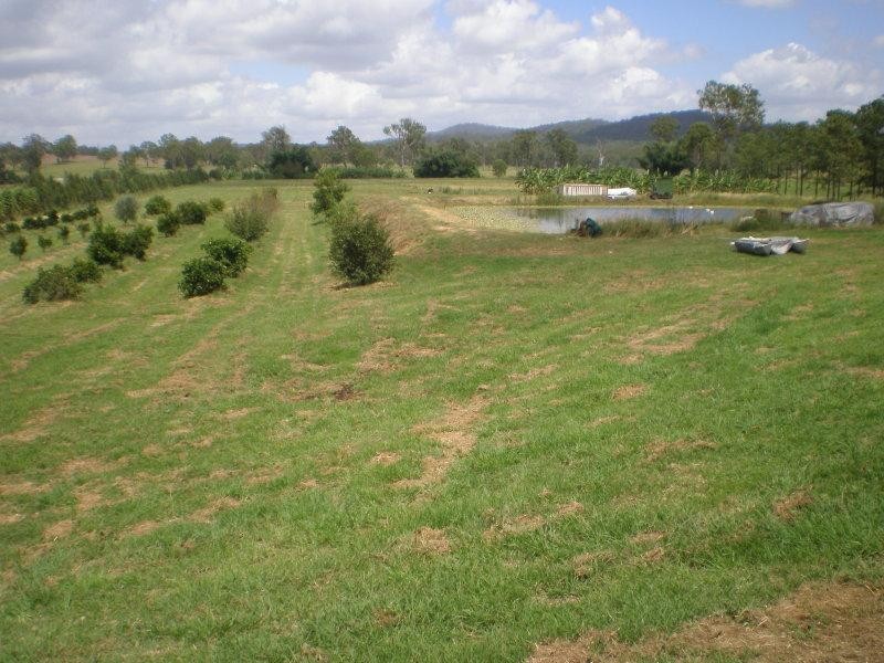 1 Larch Road, Tamborine QLD 4270