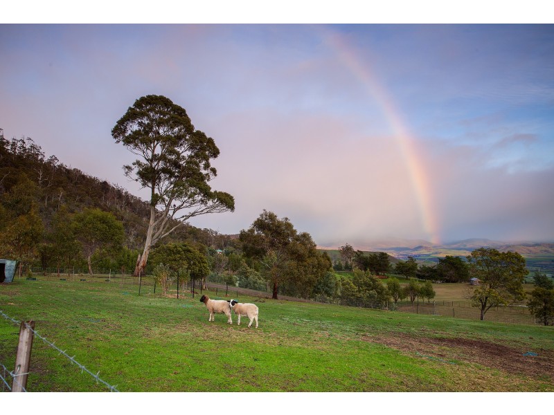 845 Black Hills Road, Black Hills TAS 7140