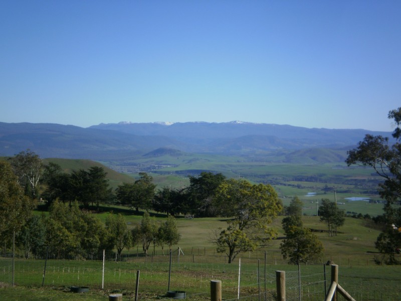 845 Black Hills Road, Black Hills TAS 7140