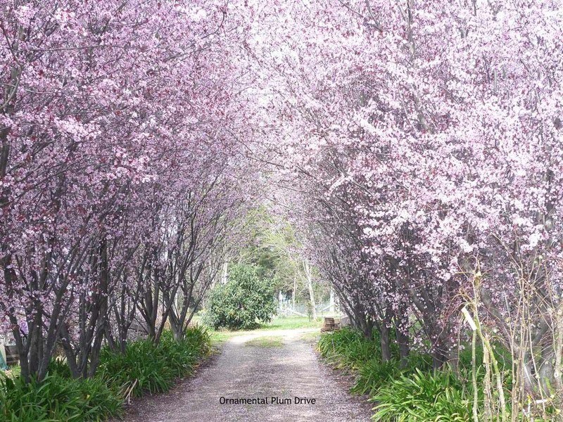 5 Baaners Lane, Little Hartley NSW 2790