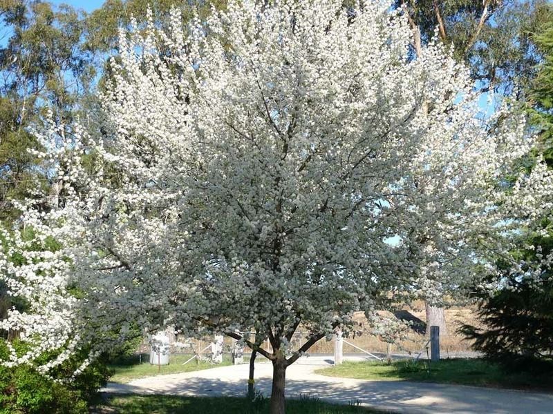 5 Baaners Lane, Little Hartley NSW 2790