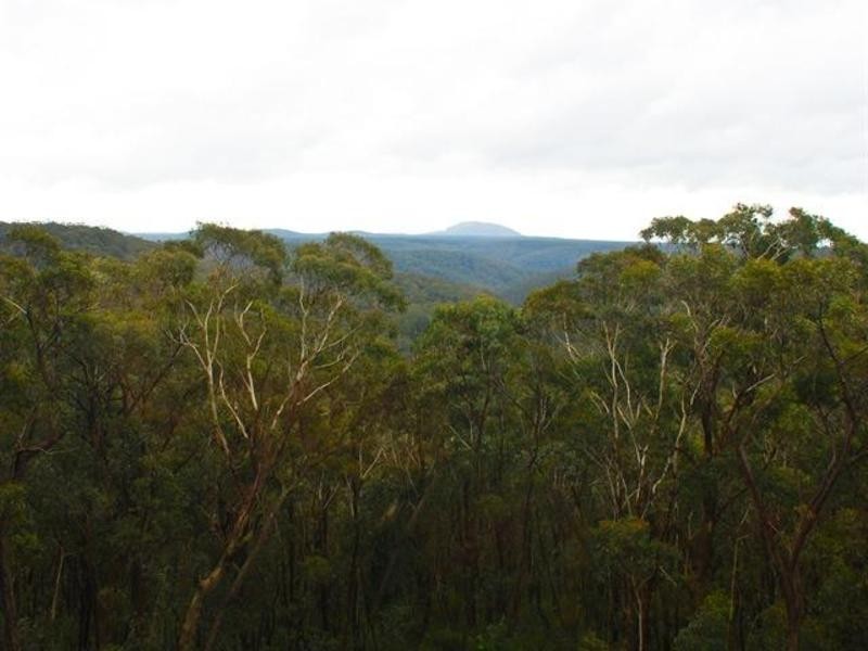 60 Henderson Road, Wentworth Falls NSW 2782