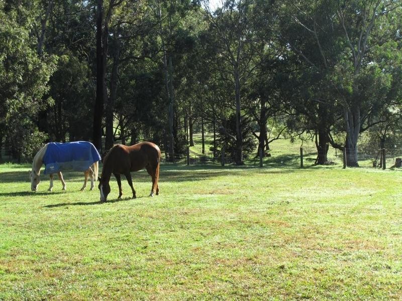 Kangaroo Valley NSW 2577