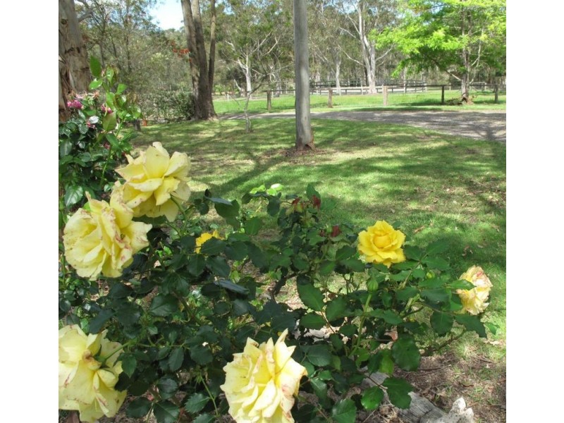 Kangaroo Valley NSW 2577