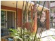 Herston QLD 4006