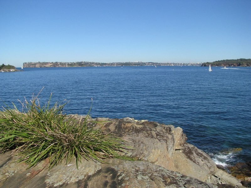 46/1 Addison Road, Manly NSW 2095