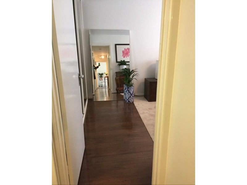 19 Mercer Rd, Armadale VIC 3143