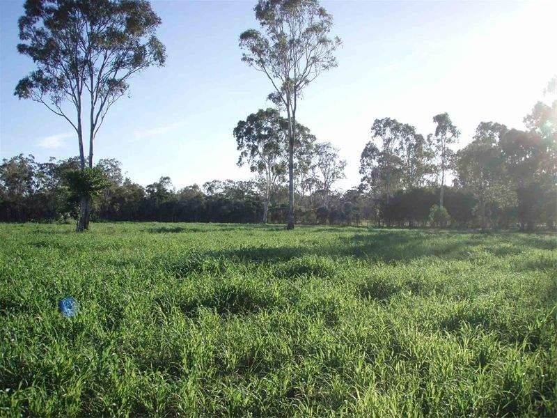 Baffle Creek QLD 4674