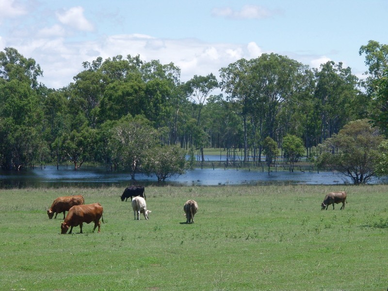 Baffle Creek QLD 4674