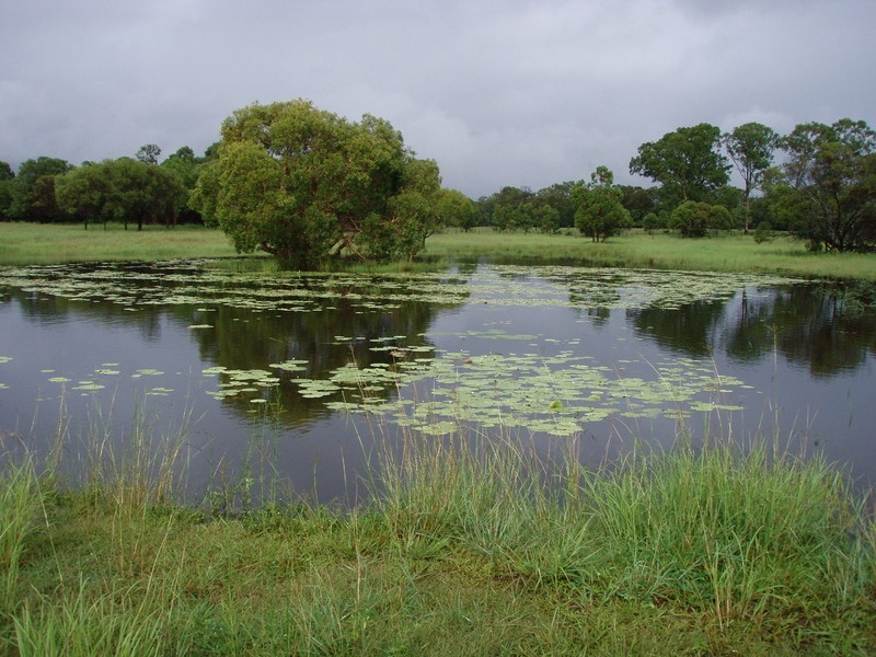 Baffle Creek QLD 4674