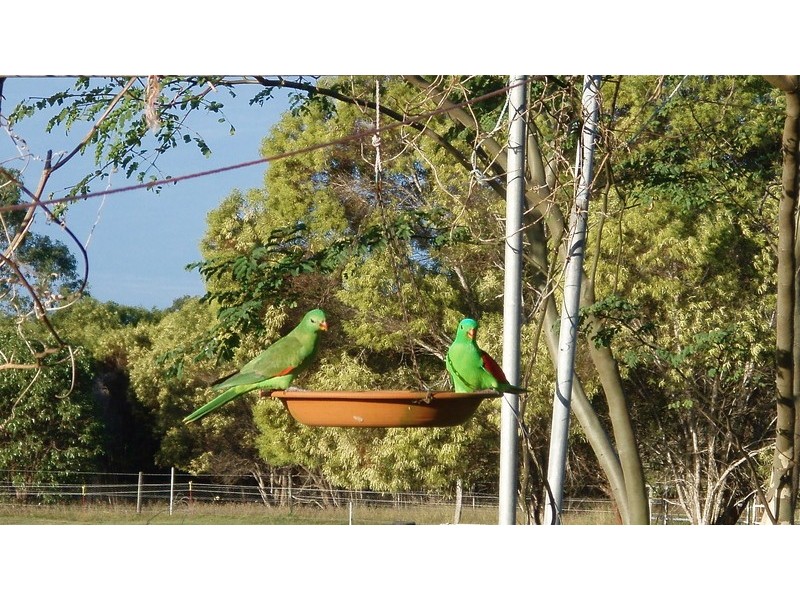 Baffle Creek QLD 4674