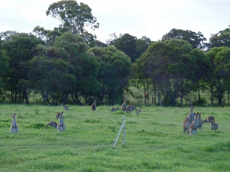 Baffle Creek QLD 4674