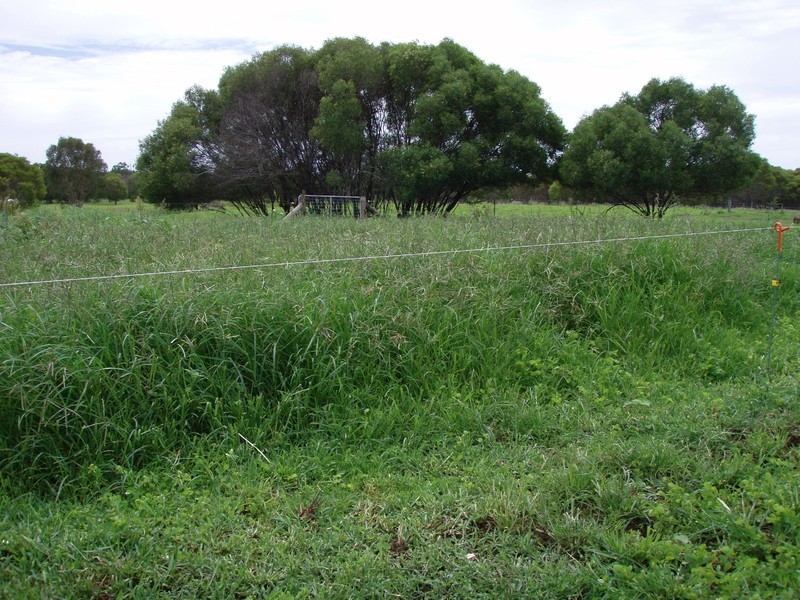 Baffle Creek QLD 4674