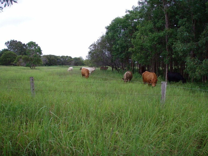 Baffle Creek QLD 4674