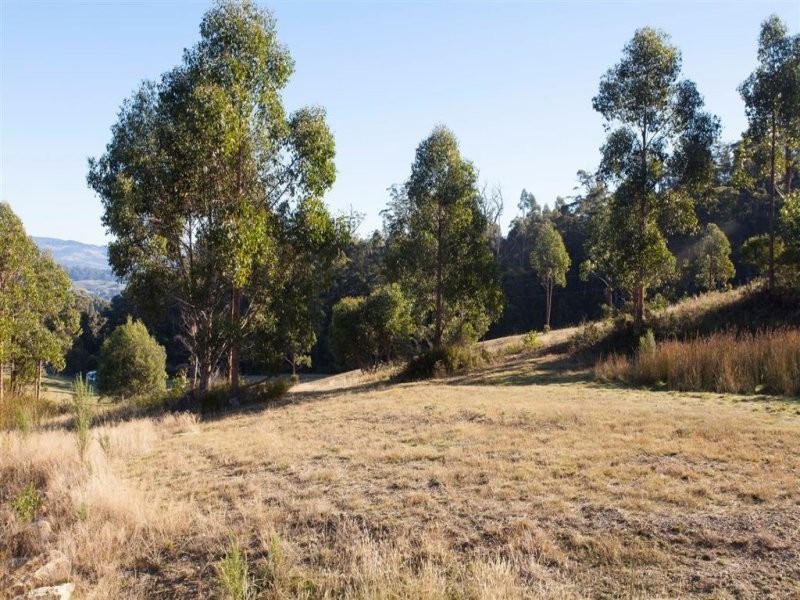 99 Snowy View Heights, Huonville TAS 7109