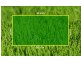 Lot 536 Grassdart Street, Tarneit VIC 3029