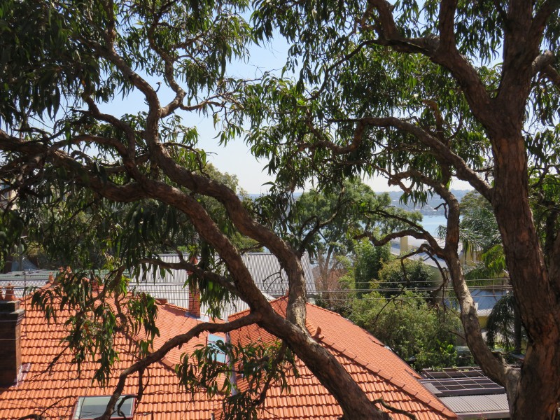 9/15 Macquarie Terrace, Balmain NSW 2041