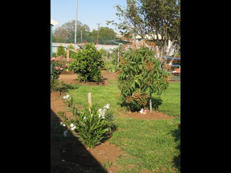 9 Princess Street, Urana NSW 2645