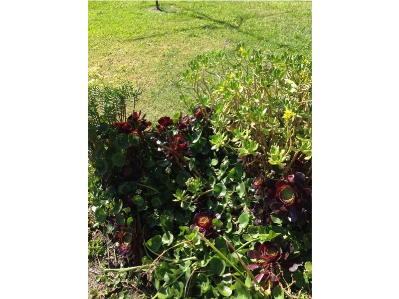 214 Marsh Rd, Bobs Farm NSW 2316