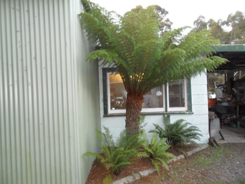 4224 West Tamar Highway, Beaconsfield TAS 7270